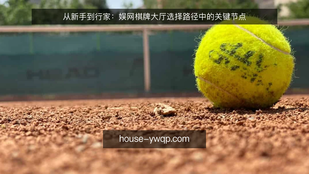 从新手到行家:娱网棋牌大厅选择路径中的关键节点