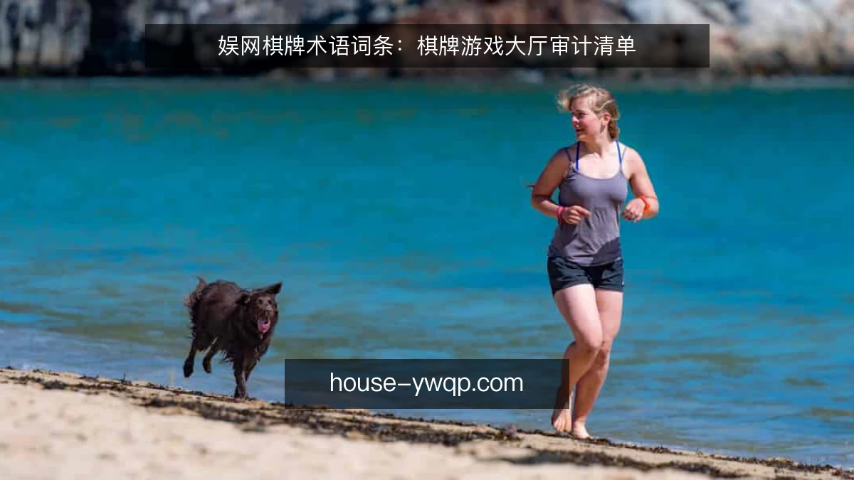 娱网棋牌术语词条：棋牌游戏大厅审计清单