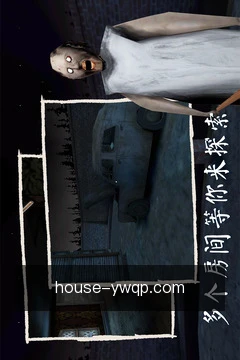 离线牌谱