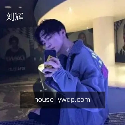 刘辉
